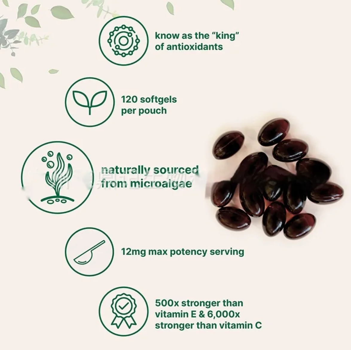 Astaxanthin Soft Capsules – 120 Tablets